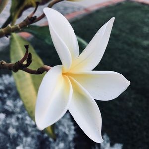 Meet your Posher, Kaspar